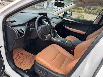 2020 Lexus NX 200 FWD Fengyi Edition China VI, фото 4, лот 10315511
