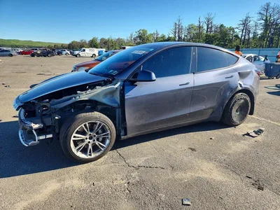 2023 TESLA MODEL Y, фото 1, лот 10854351