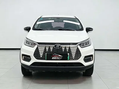 2019 BYD Yuan New Energy EV535 Smart Connected Trend Leader Type, фото 2, лот 10593001