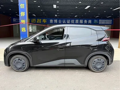 2024 BYD Seagull Glory Edition 305km Vitality Edition, фото 3, лот 10399265