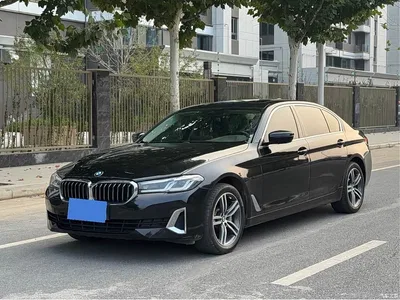 2021 BMW 5 Series 530Li Leading Luxury Package, фото 1, лот 11241130