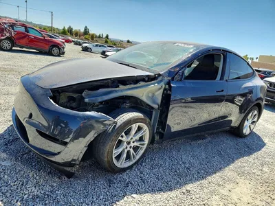 2024 TESLA MODEL Y, фото 1, лот 10855629