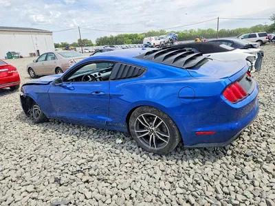 2017 FORD MUSTANG, фото 2, лот 10556874