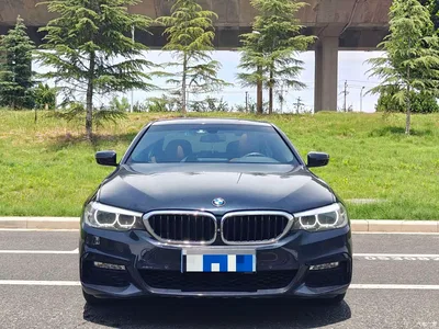 2018 BMW 5 Series Facelift 530Li xDrive M Sport Package, фото 2, лот 10679726