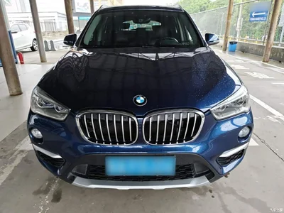 2018 BMW X1 sDrive18Li Premium Model, фото 3, лот 11191955