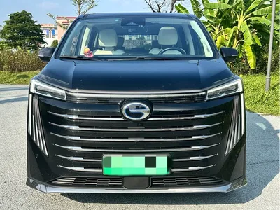 2023 GAC Trumpchi Trumpchi E9 E9 MAX, фото 2, лот 10394283