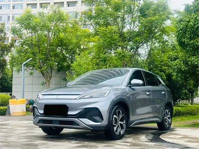 2024 Byd Yuan Plus, фото 1, лот 10246825