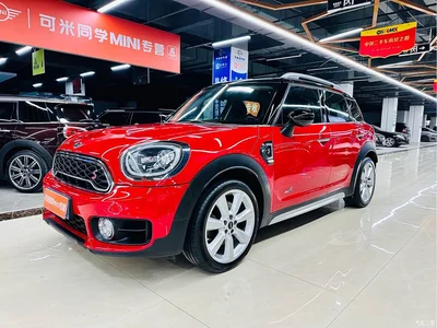 2017 MINI COUNTRYMAN 2.0T COOPER S ALL4 Traveller, фото 1, лот 11179759