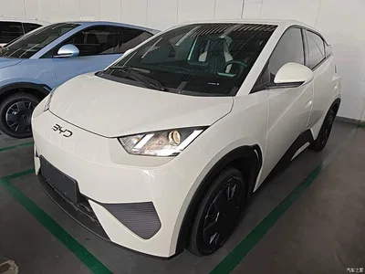 2025 BYD Seagull Smart Drive Edition 305km Vitality Version, фото 1, лот 10262967