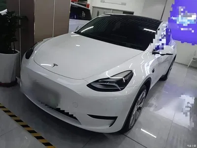 2022 Tesla Model Y Rear-Wheel Drive Version, фото 2, лот 10890284