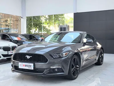 2017 Ford Mustang 2.3T Performance Edition, фото 1, лот 10293183