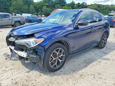 2019 ALFA ROMEO STELVIO TI, фото 1, лот 10881987