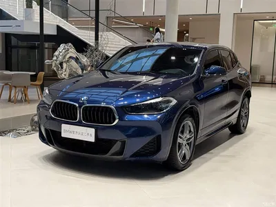 2020 BMW X2 sDrive25i Leading M Sport Package, фото 1, лот 11530470