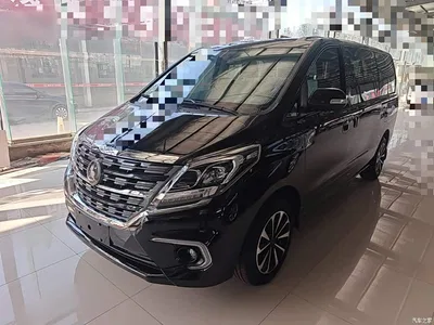 2022 Dongfeng Fengxing M7 Noble Series 2.0T Automatic Marquis Edition, фото 2, лот 11150337