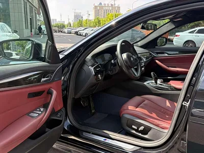 2019 BMW 5 Series Facelift 530Li Leading M Sport Package, фото 4, лот 11067006