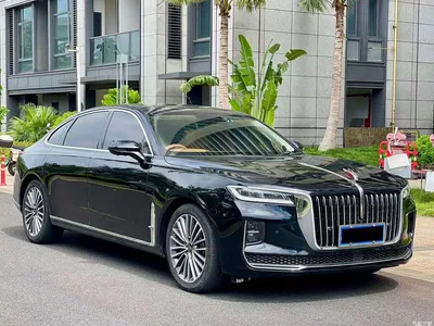 2022 Hongqi H9 2.0T Smart Connect Flag Smooth Edition, фото 3, лот 10288994