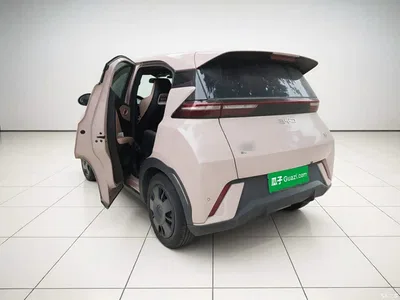 2024 BYD Seagull Glory Edition 305km Vitality Edition, фото 4, лот 10252933
