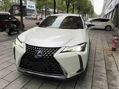 2020 Lexus UX 260h Explore Cool Edition China V, фото 1, лот 11102426