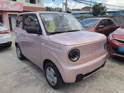 2025 Geely Galaxy Panda mini 210km Vitality Bear, фото 4, лот 10433322