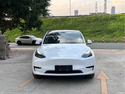2022 Tesla Model Y Rear-Wheel Drive Version, фото 2, лот 11212117