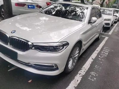 2020 BMW 5 Series New Energy 530Le Range Upgrade Pioneer Edition, фото 1, лот 10474363