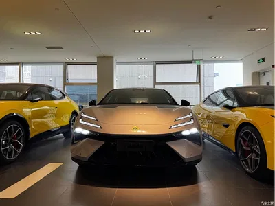2025 Lotus Cars EMEYA Blossom 900 Performance, фото 2, лот 11155366