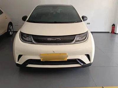 2023 BYD Dolphin 420km Fashion Edition, фото 2, лот 10251814