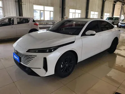 2023 Changan Yida Blue Whale NE 1.5T GDI DCT Enjoyment Edition, фото 2, лот 10285129