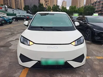 2025 BYD Seagull Smart Drive Edition 405km Free Edition, фото 3, лот 10262810