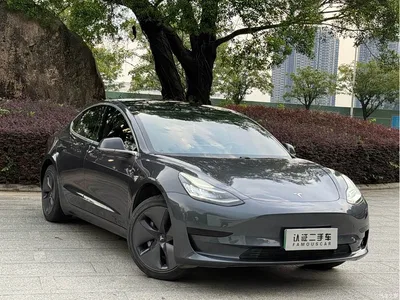 2019 Tesla Model 3 Standard Range Rear-Wheel Drive Upgrade, фото 3, лот 10392845