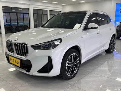 2024 BMW X1 sDrive25Li M Sport Package, фото 1, лот 10466194