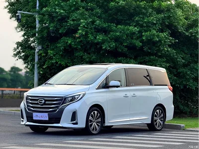 2020 GAC Trumpchi Trumpchi M8 Pilot 390T Ultimate Edition, фото 1, лот 10625317