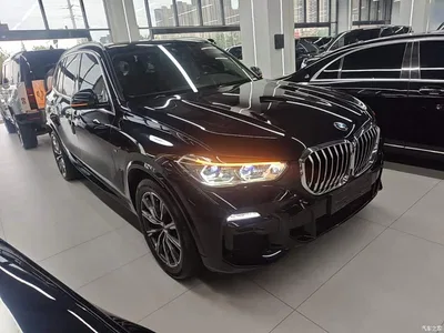 2021 BMW X5 New Energy(Imported) xDrive45e M Sport Package, фото 4, лот 10334251