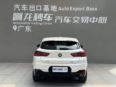 2021 BMW X2 Facelift sDrive25i Shadow Night Edition, фото 4, лот 10407508
