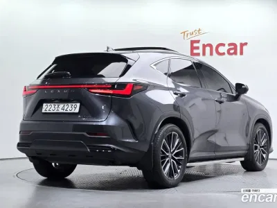 2024 Lexus NX 350h Luxury, фото 2, лот 11257936