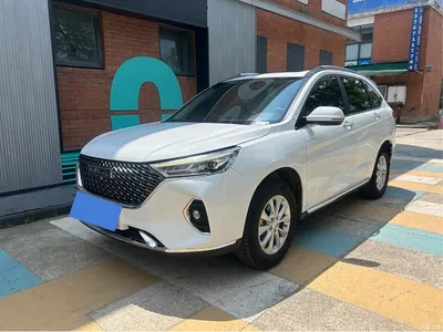 2024 Haval M6 PLUS 1.5T DCT Peanut Auto Custom Edition, фото 1, лот 10299400