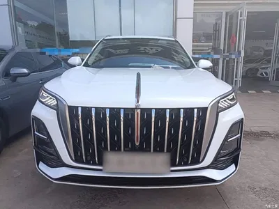 2023 Hongqi HS5 2.0T Flag Enjoy Pro Edition, фото 3, лот 10289316