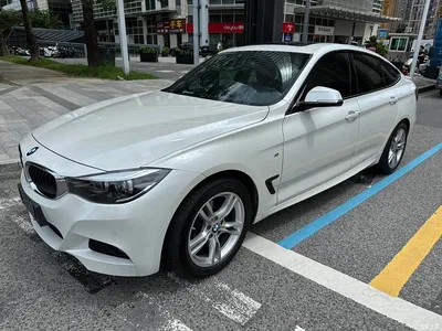 2019 BMW 3 Series GT 320i M Sport Package, фото 1, лот 11184496