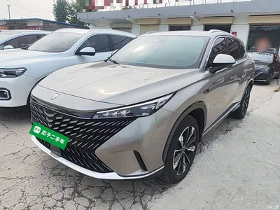 2023 Roewe RX5 1.5T Superior Edition, фото 1, лот 10341105