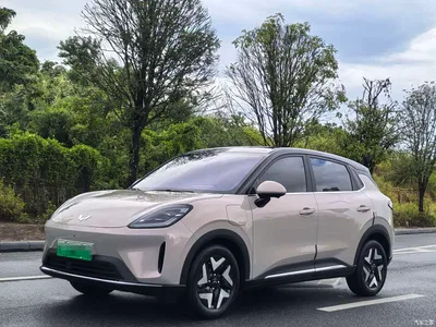 2025 Wuling Motors Wuling Bingo S Model 325km Flagship Edition, фото 1, лот 10836401
