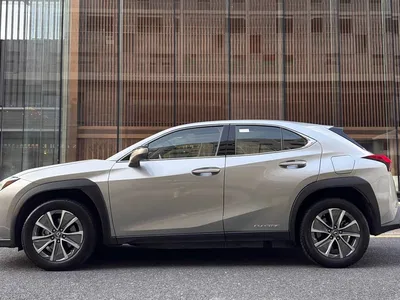 2020 Lexus UX Electric 300e Pure Yue Edition, фото 4, лот 10312997