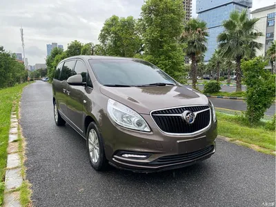 2017 Buick GL8 25S Luxury China V, фото 3, лот 10253329