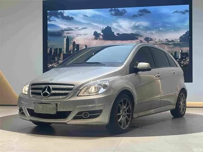 2009 Mercedes-Benz B-Class B 200 Luxury, фото 1, лот 10287412