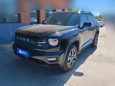 2026 Haval Da Gou 2nd Gen Model 2.0T Base, фото 1, лот 10299254