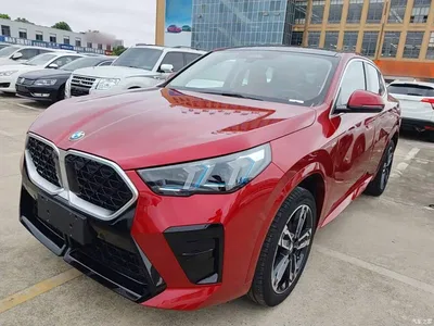 2024 BMW X2 (Import) sDrive25i M Sport Package, фото 2, лот 10475621