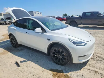 2023 TESLA MODEL Y, фото 4, лот 10856243