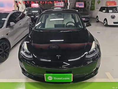 2022 Tesla Model 3 Model Rear-Wheel Drive Version, фото 3, лот 11198415