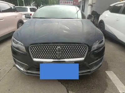 2019 Lincoln MKZ 2.0T Zunxiang Edition China VI, фото 2, лот 10768480