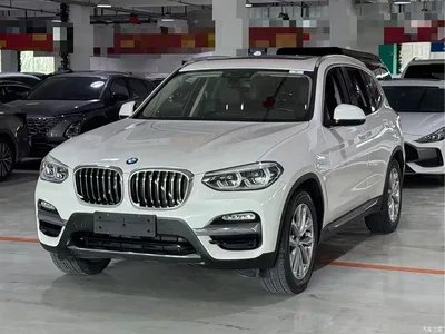 2018 BMW X3 xDrive25i Luxury Package China V, фото 1, лот 10461764
