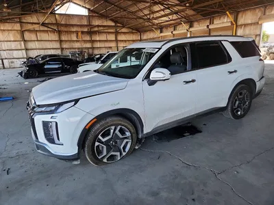 2024 HYUNDAI PALISADE SEL PREMIUM, фото 1, лот 10746701